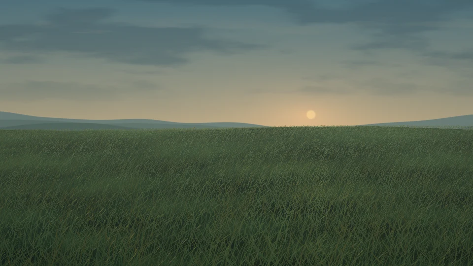 夕暮れの光に照らされた草原