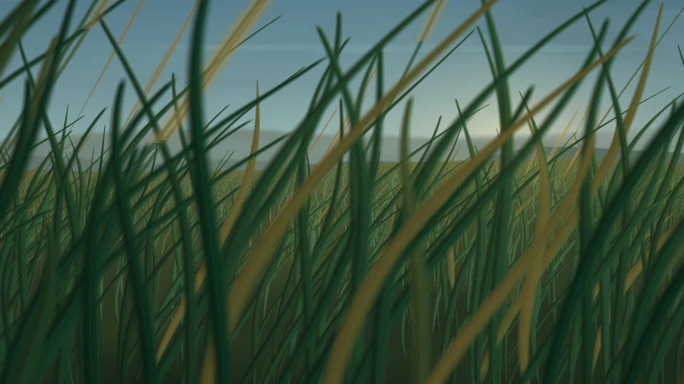 草の目線の風景